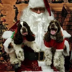 Meet your Posher, Pamela